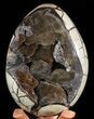 Huge, Septarian Dragon Egg Geode - Crystal Filled #50825-1